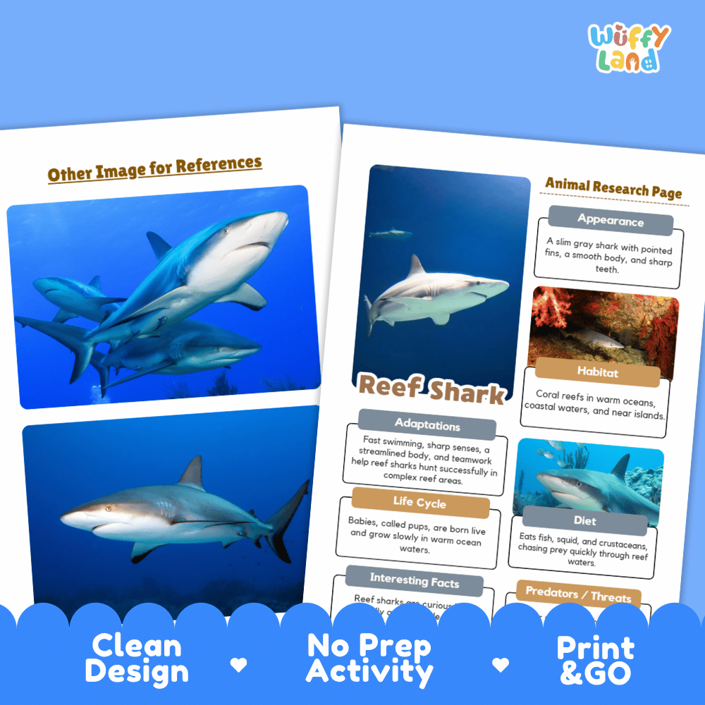 Reef Shark Animal Research Worksheets and Informational Fact Sheets