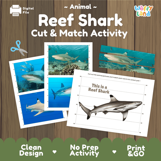 Reef Shark Cut and Match Activity Worksheets | Ocean Animal Puzzle Printables