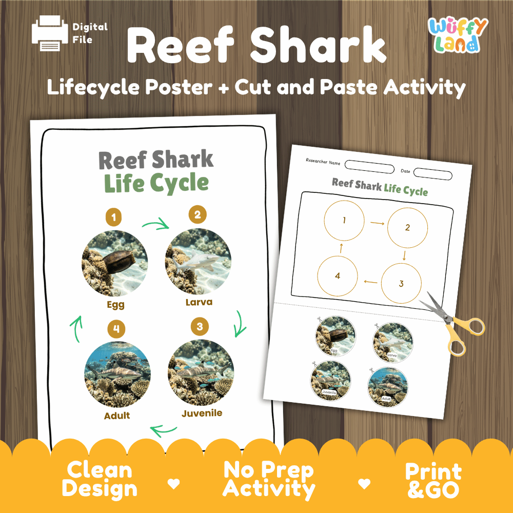 Reef Shark Life Cycle Poster and Cut and Paste Activity Worksheet