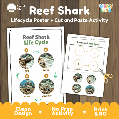 Reef Shark Life Cycle Poster and Cut and Paste Activity Worksheet