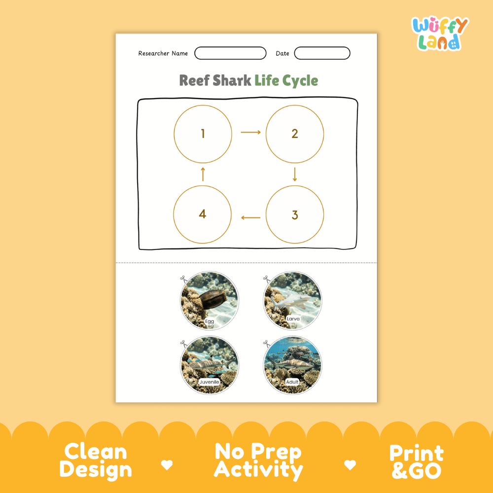 Reef Shark Life Cycle Poster and Cut and Paste Activity Worksheet