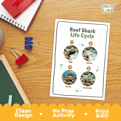 Reef Shark Life Cycle Poster and Cut and Paste Activity Worksheet