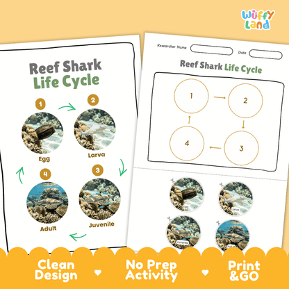 Reef Shark Life Cycle Poster and Cut and Paste Activity Worksheet