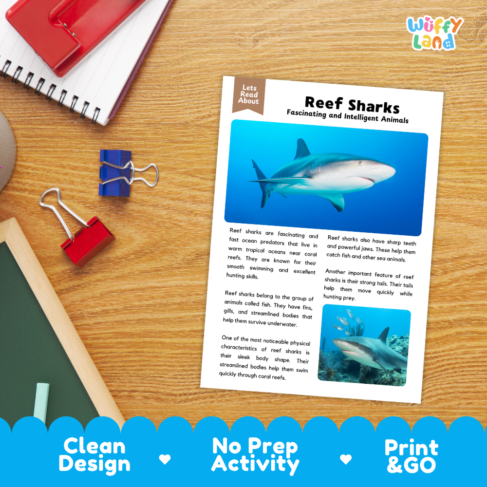 A children's reading activity sheet titled 'Reef Sharks' laid on a wooden desk, surrounded by stationery props including a red notebook, binder clips, and a blue pen. The sheet features a large photo of a shark and text about reef sharks, with a blue banner at the bottom reading 'Clean Design', 'No Prep Activity', and 'Print & GO'.