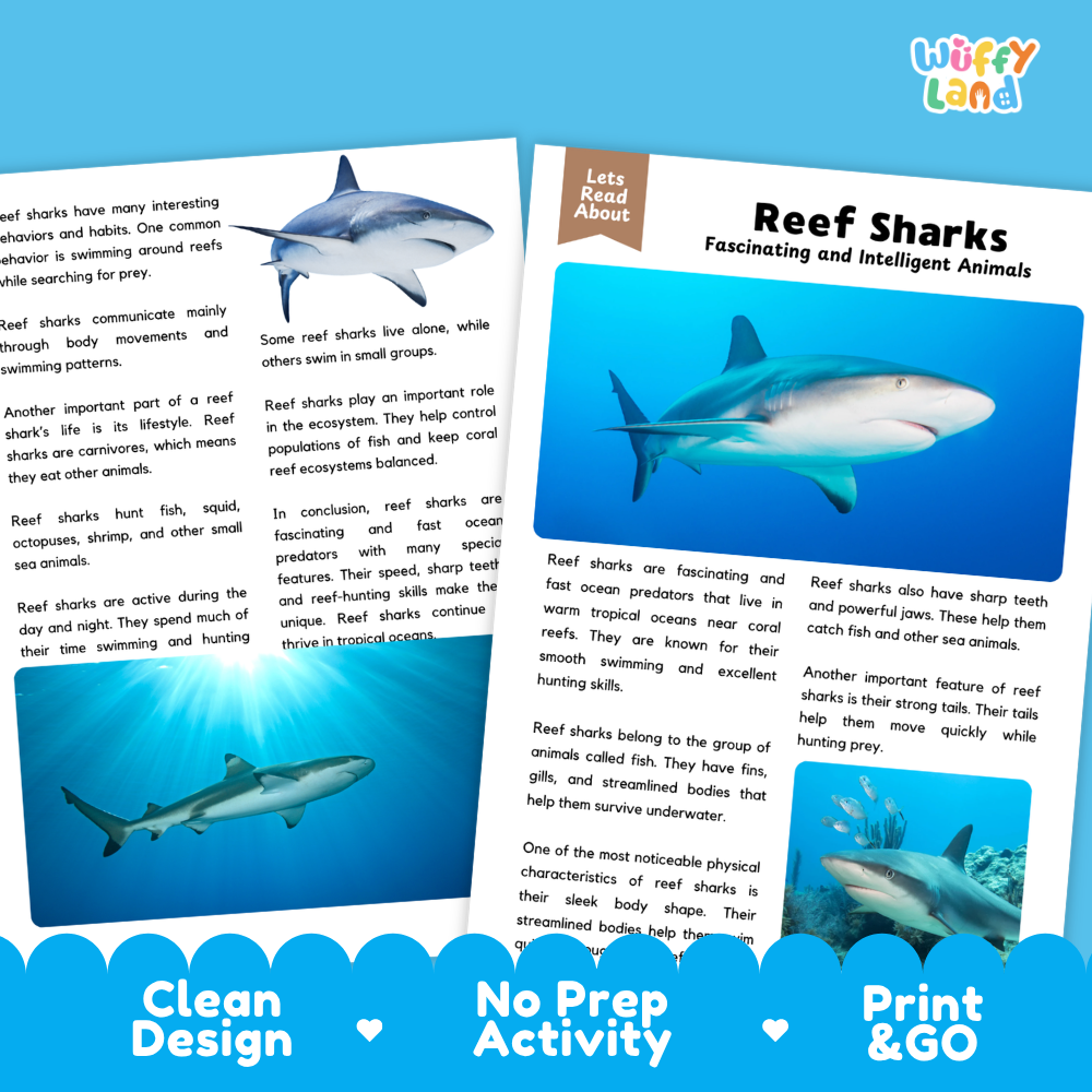 Two educational reading activity cards about reef sharks, displayed on a light blue background with a 'Wuffly Land' logo in the top right. The cards feature text, illustrations of reef sharks, and a 'Lets Read About' banner.