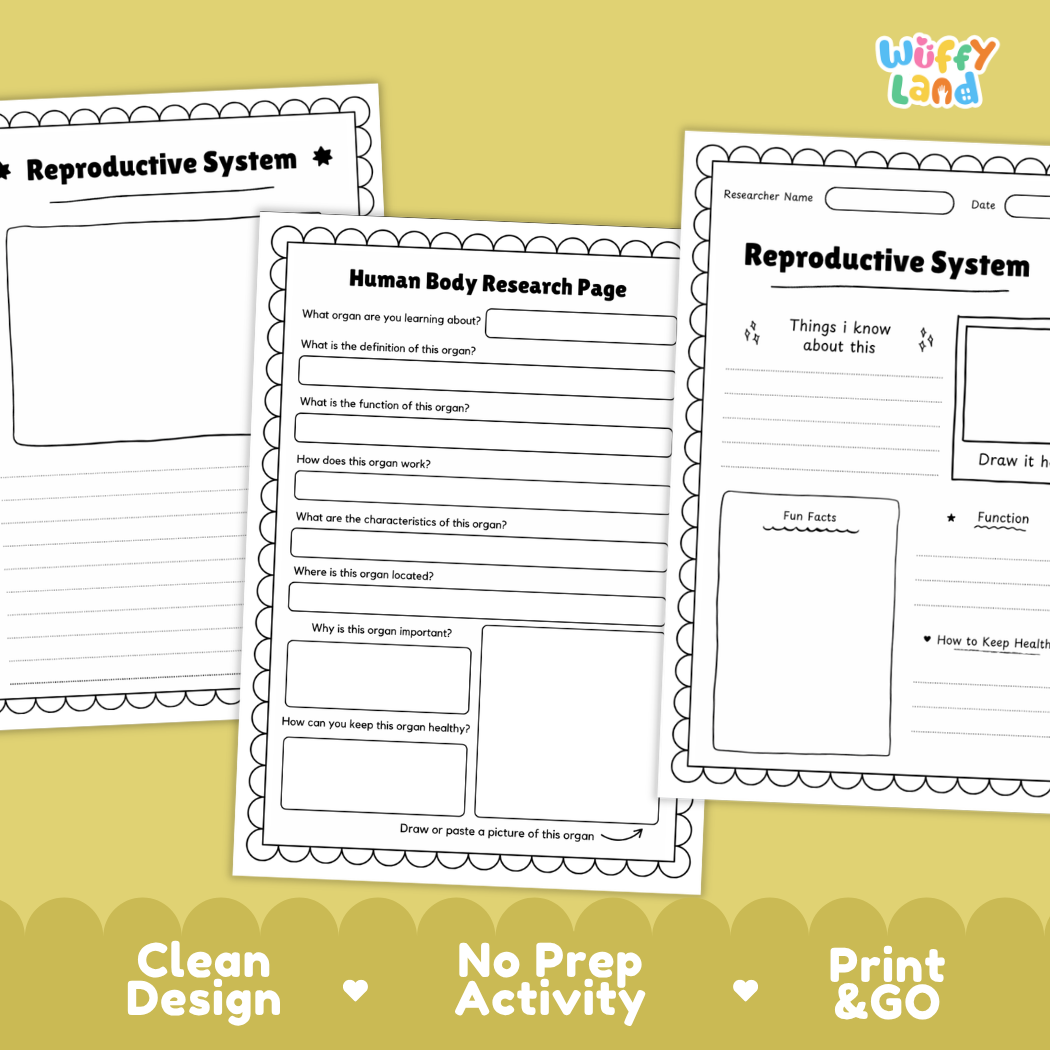 Reproductive System Human Body Research Page and Worksheets