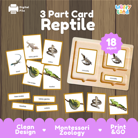 Reptile 3 part cards Montessori printable featuring 18 reptiles with realistic pictures, word labels and matching cards