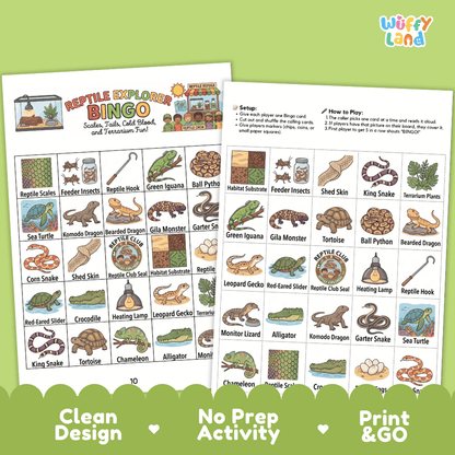 Reptile Explorer BINGO Games Printable Science Animal Habitat Activity Cards