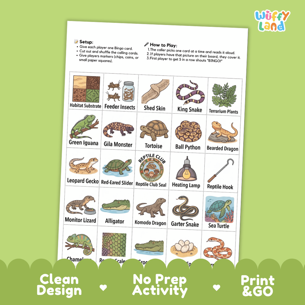 Reptile Explorer BINGO Games Printable Science Animal Habitat Activity Cards