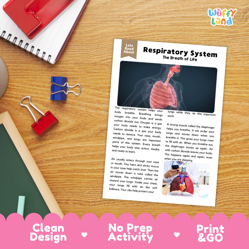 Student reading comprehension worksheet with short-answer questions and lined sections about the human respiratory system