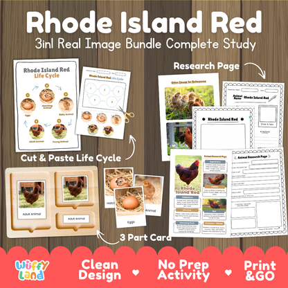 Rhode Island Red 3-in-1 real image bundle complete study cover showing cut and paste life cycle, 3 part cards, and research pages