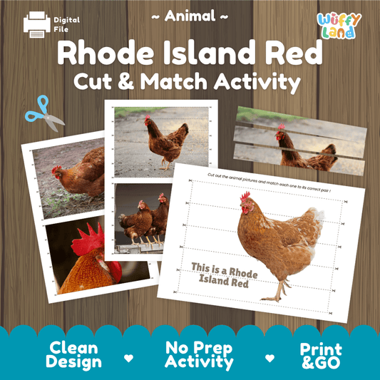 Rhode Island Red Cut and Match Activity Worksheets | Farm Animal Puzzle Printables