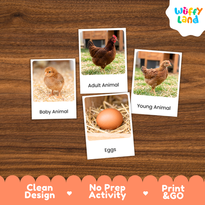 Three printed activity cards about farm animals and eggs arranged on a wooden surface, with a Wuffy Land logo in the top right and marketing text along the bottom.