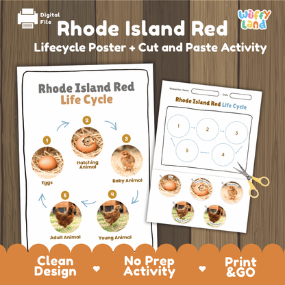 Rhode Island Red Life Cycle Poster and Cut and Paste Worksheet Activity