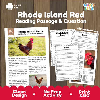 Rhode Island Red Reading Passage and Comprehension Questions Worksheets with Answer Key