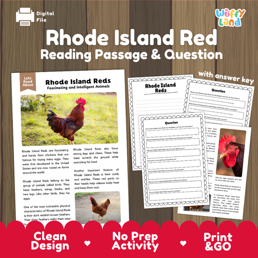Rhode Island Red Reading Passage and Comprehension Questions Worksheets with Answer Key