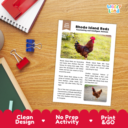 Rhode Island Red Reading Passage and Comprehension Questions Worksheets with Answer Key