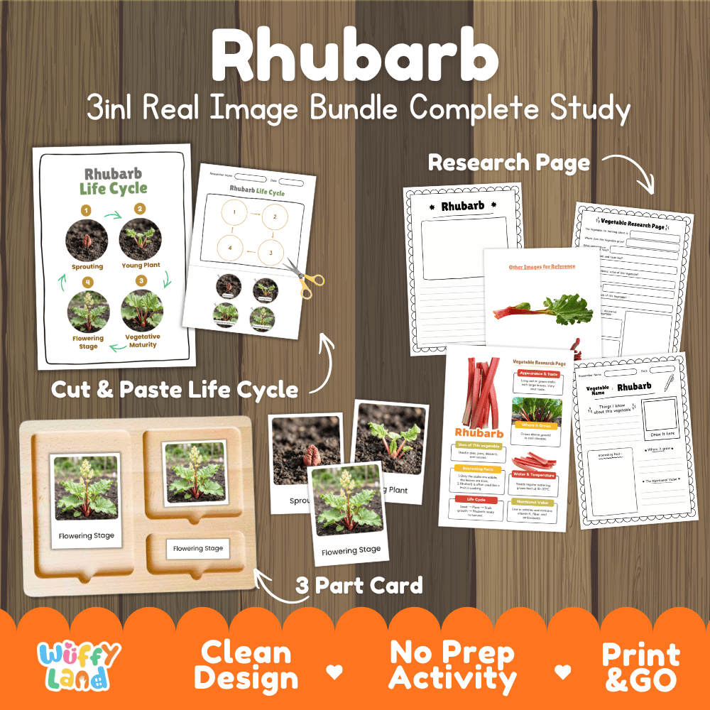 Rhubarb 3in1 real image bundle complete study printable featuring life cycle cut and paste worksheets, Montessori 3-part cards, and research pages