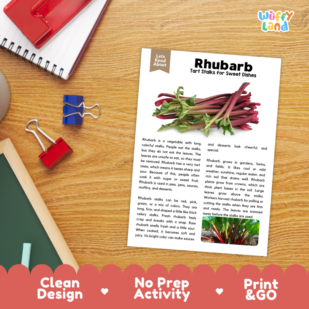 Student reading comprehension worksheet with short-answer questions and lined sections about rhubarb vegetable stalks