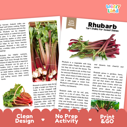 Teacher answer key page showing complete question solutions for rhubarb reading comprehension practice