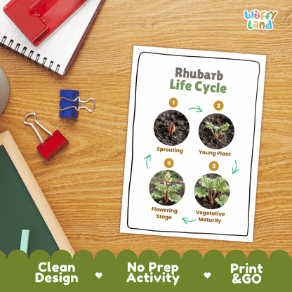 Hands-on cut and paste science worksheet for students to cut real photo tokens and sequence rhubarb growth stages onto numbered circles