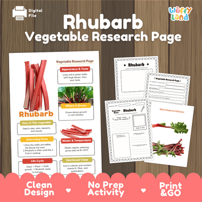 Rhubarb Vegetable Research Worksheets and Informational Fact Sheets