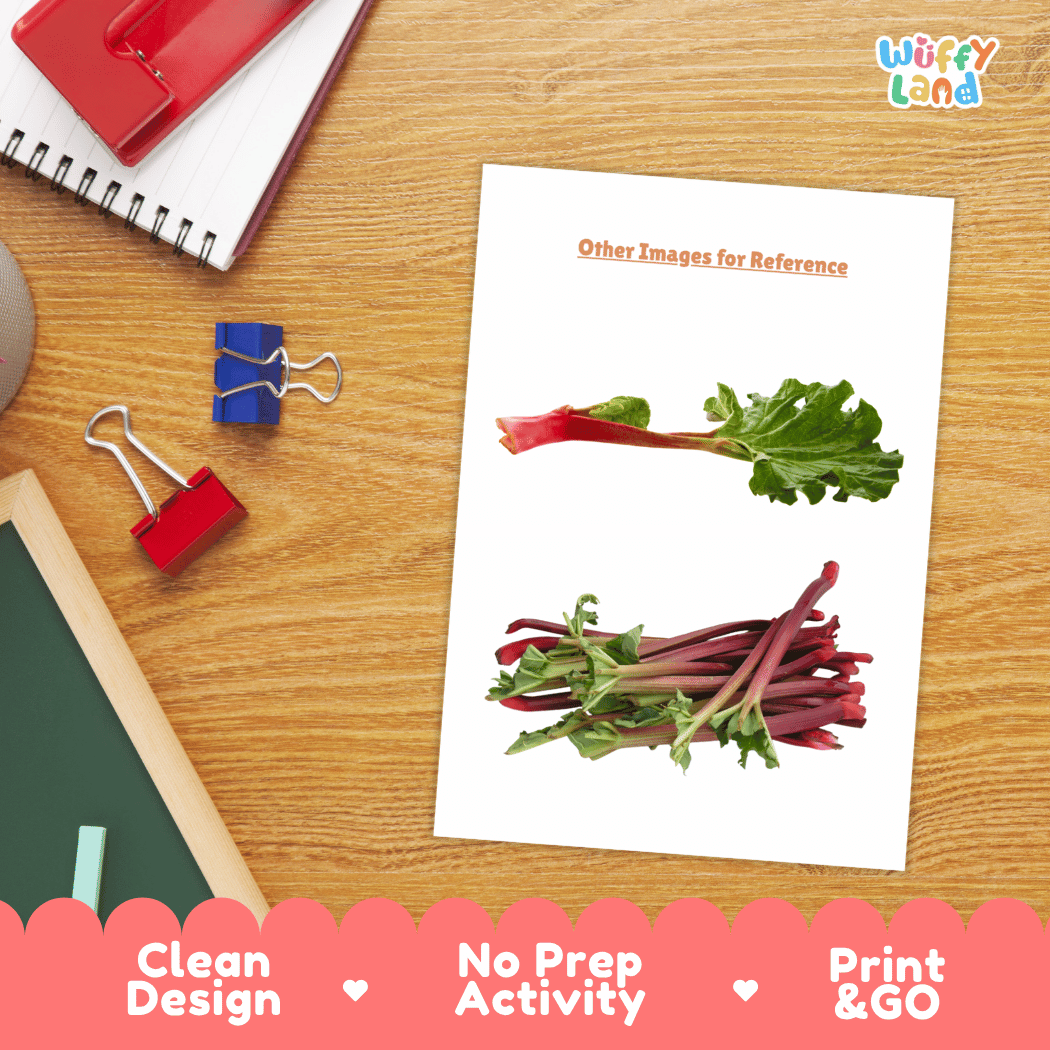 Rhubarb Vegetable Research Worksheets and Informational Fact Sheets