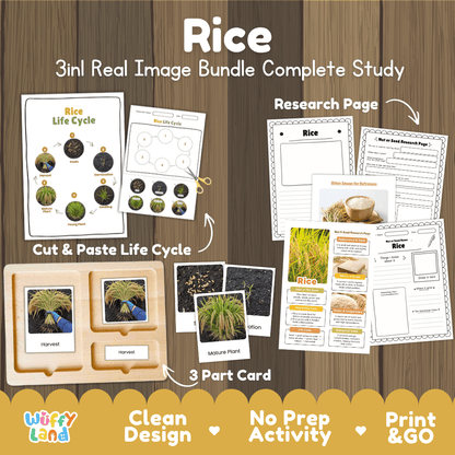 Complete Rice 3-in-1 real image study bundle featuring cut and paste worksheets, Montessori 3-part cards, and research pages 🌾🌱