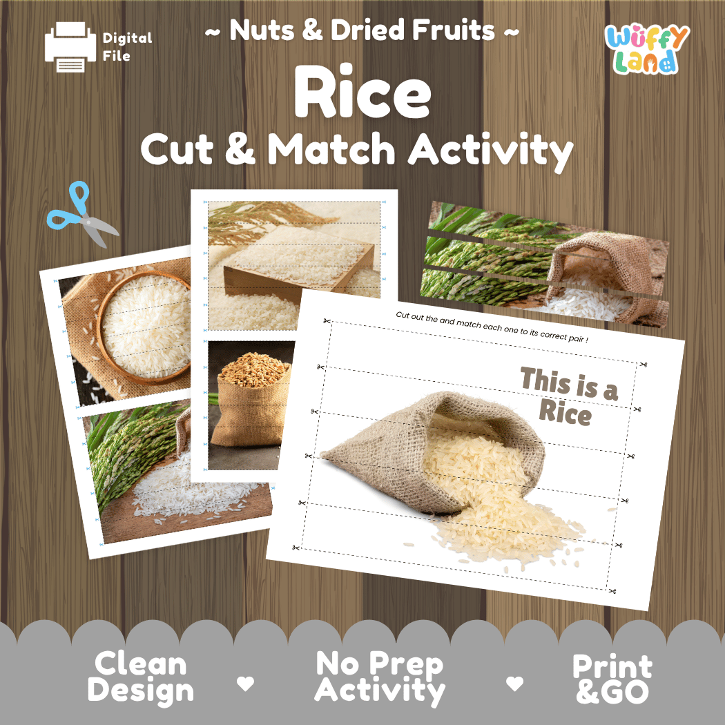 Rice Cut and Match Activity Worksheets | Nuts and Dried Fruits Puzzle Printables