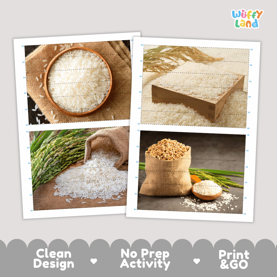 Rice Cut and Match Activity Worksheets | Nuts and Dried Fruits Puzzle Printables