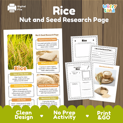 Rice Nut and Seed Research Page Worksheets and Fact Sheet