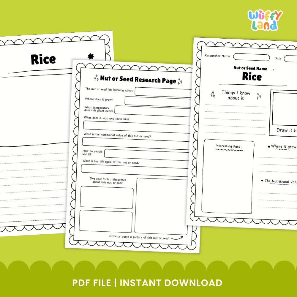 Rice Nut and Seed Research Page Worksheets and Fact Sheet