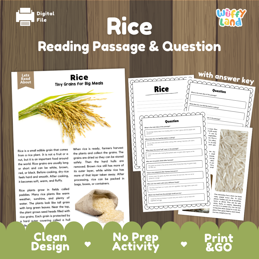 Rice Reading Passage and Comprehension Questions Worksheets with Answer Key