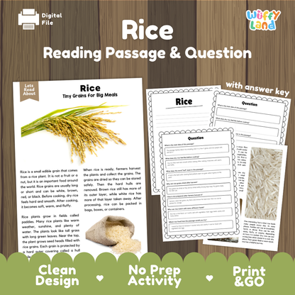 Rice Reading Passage and Comprehension Questions Worksheets with Answer Key