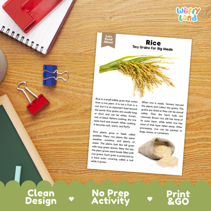 Rice Reading Passage and Comprehension Questions Worksheets with Answer Key