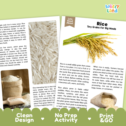 Rice Reading Passage and Comprehension Questions Worksheets with Answer Key
