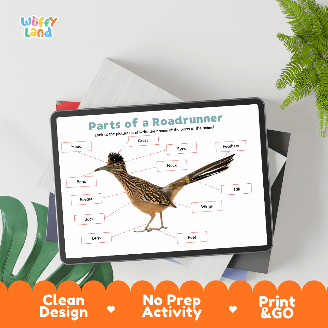 Hands-on roadrunner anatomy cut and paste worksheet with printable word tags, callout pointer lines, and scissors graphic
