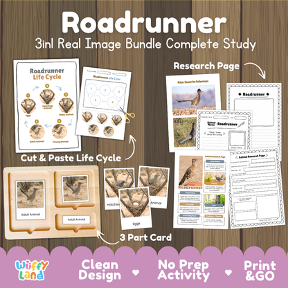 Roadrunner 3-in-1 real image bundle complete study cover showing cut and paste life cycle, 3 part cards, and research pages