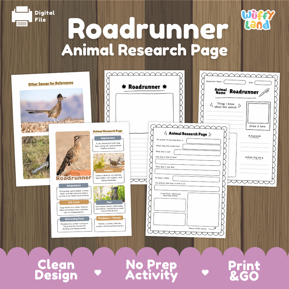 Roadrunner Animal Research Worksheets and Informational Fact Sheets