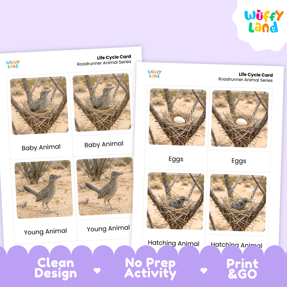Two educational activity cards for learning bird life cycles, displayed on a light purple background with a decorative purple banner at the bottom. The cards feature photos of a roadrunner in a nest, eggs, and as a young bird, with labels 'Baby Animal', 'Eggs', and 'Young Animal'.