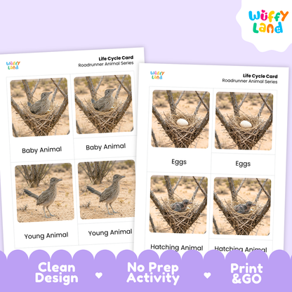 Two educational activity cards for learning bird life cycles, displayed on a light purple background with a decorative purple banner at the bottom. The cards feature photos of a roadrunner in a nest, eggs, and as a young bird, with labels 'Baby Animal', 'Eggs', and 'Young Animal'.