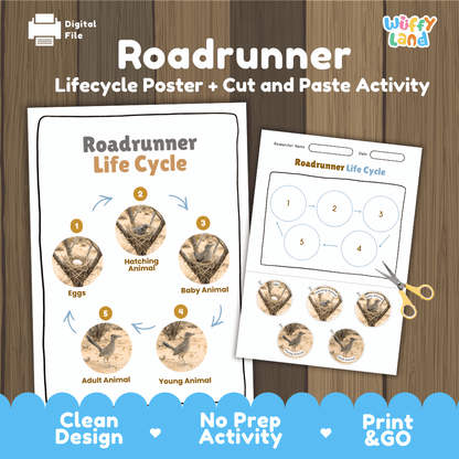 Roadrunner Life Cycle Poster and Cut and Paste Worksheet Activity