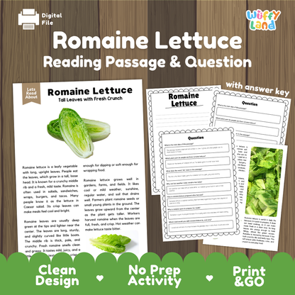 Romaine lettuce reading comprehension passage and questions printable activity pack with answer key for elementary students