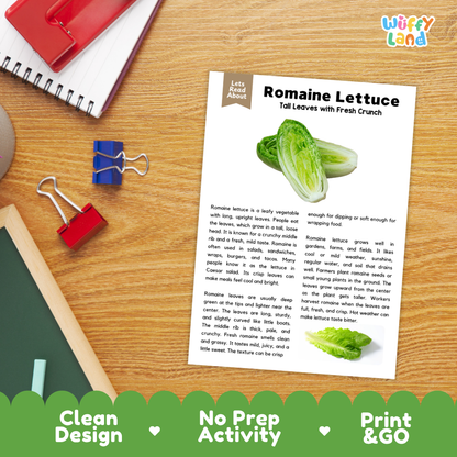 Student reading comprehension worksheet with short-answer questions and lined sections about romaine lettuce