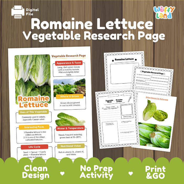 Romaine Lettuce Vegetable Research Project Worksheets and Fact Sheet