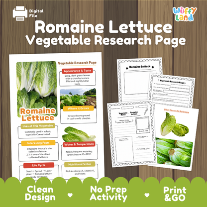 Romaine Lettuce Vegetable Research Project Worksheets and Fact Sheet