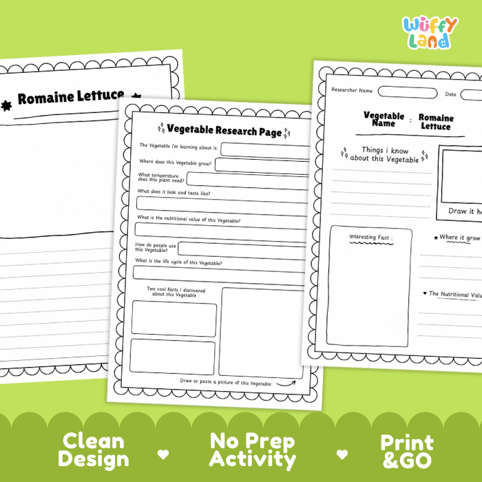 Romaine Lettuce Vegetable Research Project Worksheets and Fact Sheet