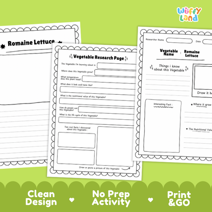 Romaine Lettuce Vegetable Research Project Worksheets and Fact Sheet