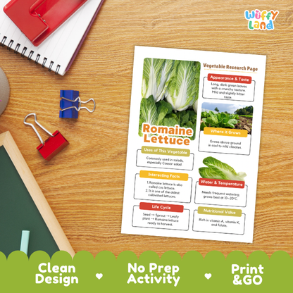 Romaine Lettuce Vegetable Research Project Worksheets and Fact Sheet