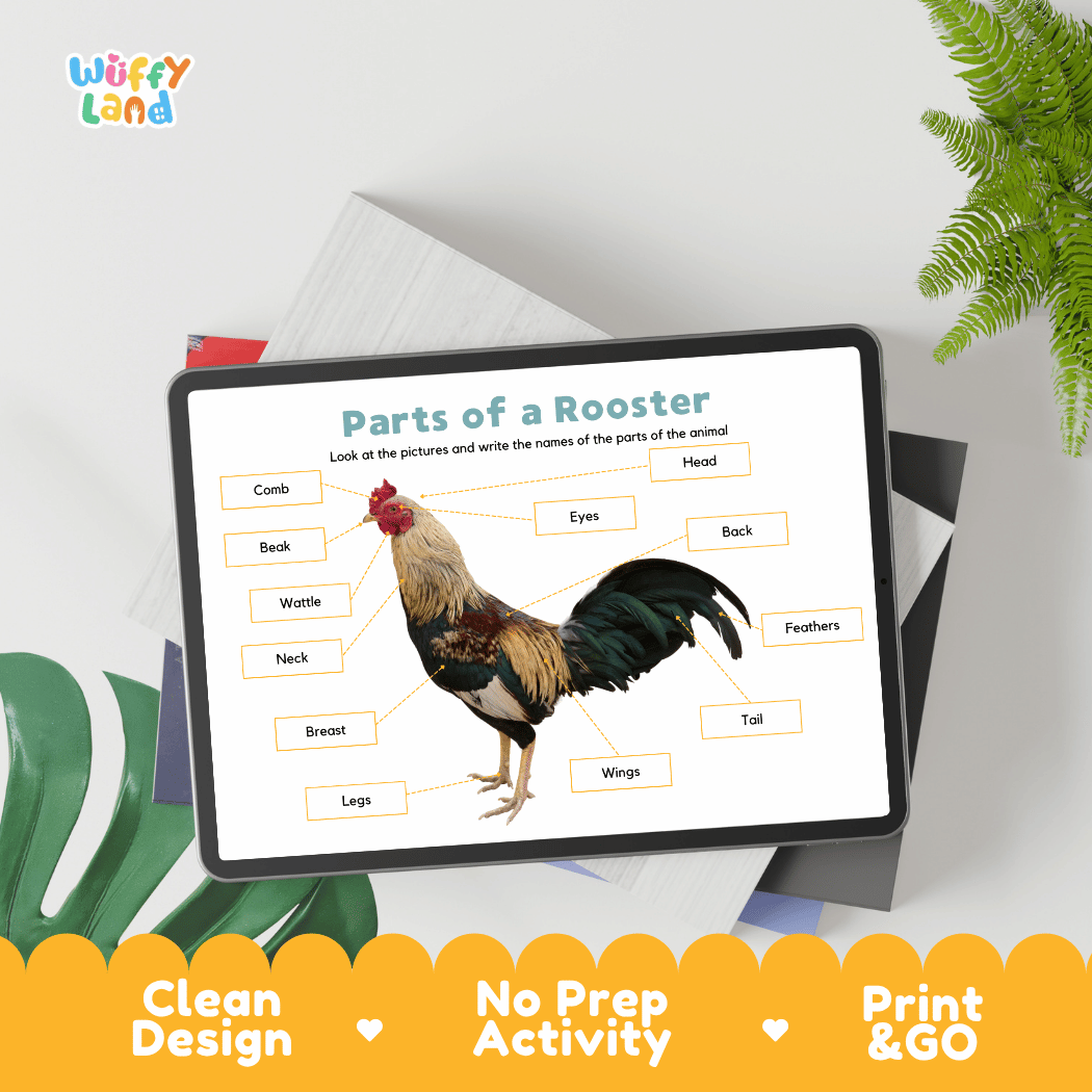 Hands-on rooster anatomy cut and paste worksheet with printable word tags, callout pointer lines, and scissors graphic